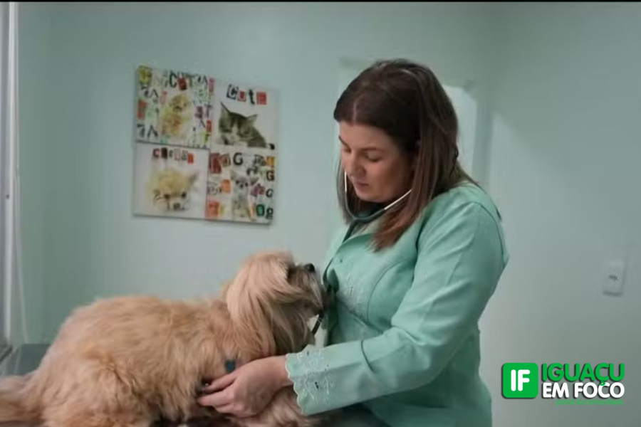 Veterinária enfrenta ameaças e agressões de vizinho idoso em Foz do Iguaçu 